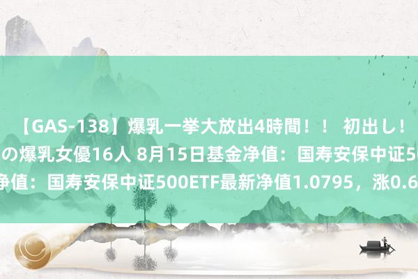 【GAS-138】爆乳一挙大放出4時間！！ 初出し！すべて撮り下ろし 伝説の爆乳女優16人 8月15日基金净值：国寿安保中证500ETF最新净值1.0795，涨0.67%