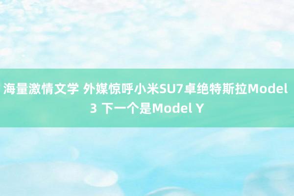 海量激情文学 外媒惊呼小米SU7卓绝特斯拉Model 3 下一个是Model Y