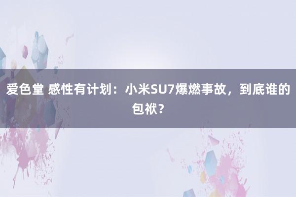 爱色堂 感性有计划：小米SU7爆燃事故，到底谁的包袱？