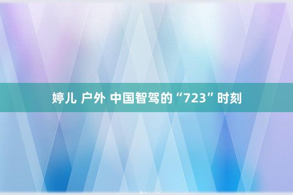 婷儿 户外 中国智驾的“723”时刻