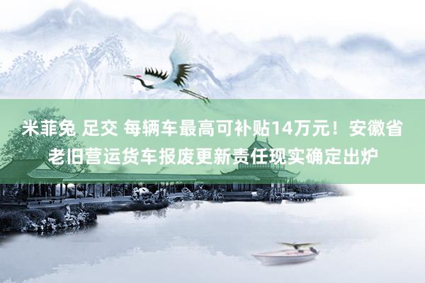 米菲兔 足交 每辆车最高可补贴14万元！安徽省老旧营运货车报废更新责任现实确定出炉