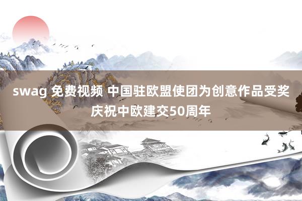 swag 免费视频 中国驻欧盟使团为创意作品受奖庆祝中欧建交50周年