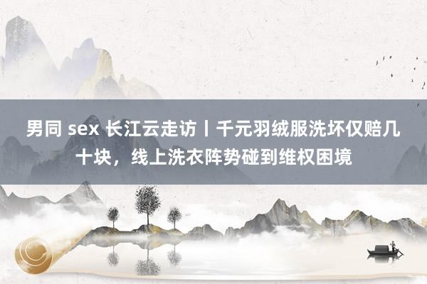 男同 sex 长江云走访丨千元羽绒服洗坏仅赔几十块，线上洗衣阵势碰到维权困境