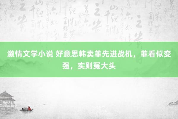 激情文学小说 好意思韩卖菲先进战机，菲看似变强，实则冤大头