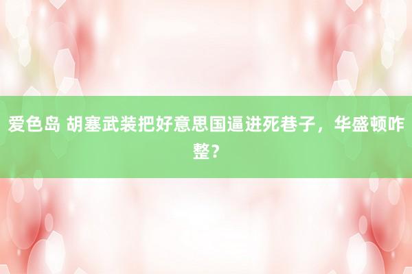 爱色岛 胡塞武装把好意思国逼进死巷子，华盛顿咋整？
