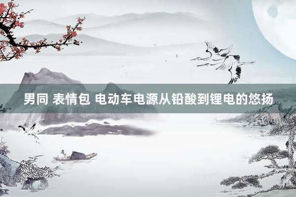 男同 表情包 电动车电源从铅酸到锂电的悠扬