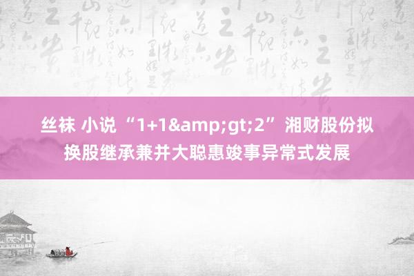 丝袜 小说 “1+1&gt;2” 湘财股份拟换股继承兼并大聪惠竣事异常式发展