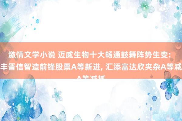 激情文学小说 迈威生物十大畅通鼓舞阵势生变: 汇丰晋信智造前锋股票A等新进， 汇添富达欣夹杂A等减抓
