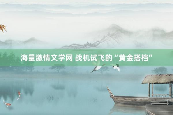 海量激情文学网 战机试飞的“黄金搭档”