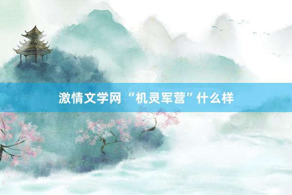 激情文学网 “机灵军营”什么样