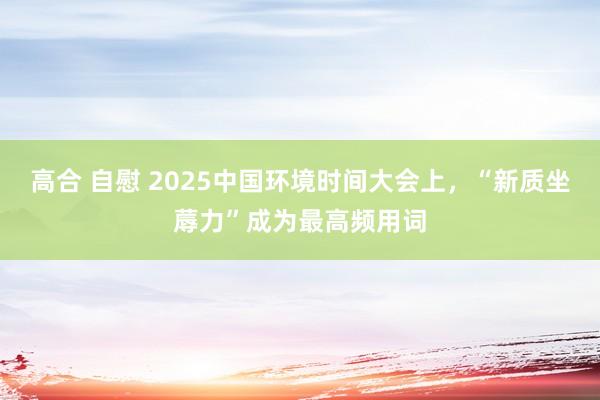 高合 自慰 2025中国环境时间大会上，“新质坐蓐力”成为最高频用词