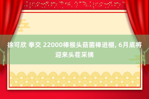 徐可欣 拳交 22000棒猴头菇菌棒进棚， 6月底将迎来头茬采摘