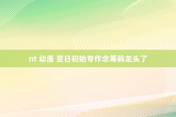 nt 动漫 翌日初始专作念筹码龙头了