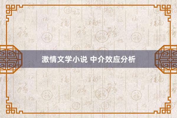 激情文学小说 中介效应分析